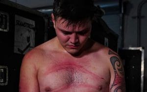 Bully Ray Gives Big Props To Dominik Mysterio After WWE RAW