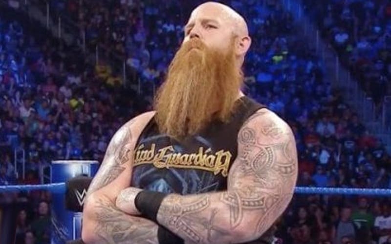 WWE Gave Erick Rowan One Day To Recover From Torn Biceps Injury