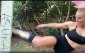 Lana Breaks Board With Asuka’s Name On It Training For WWE RAW Women’s Title Match