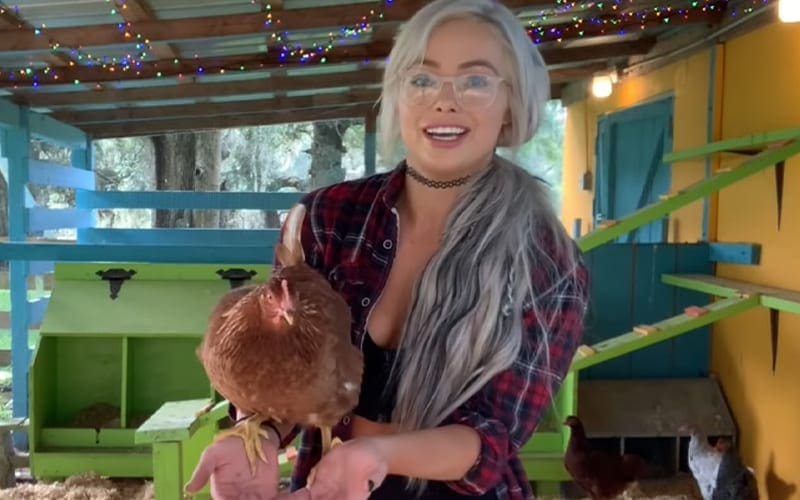 Liv Morgan Lets Fans Into Her Personal Life Cleaning Chicken Poop In New Video