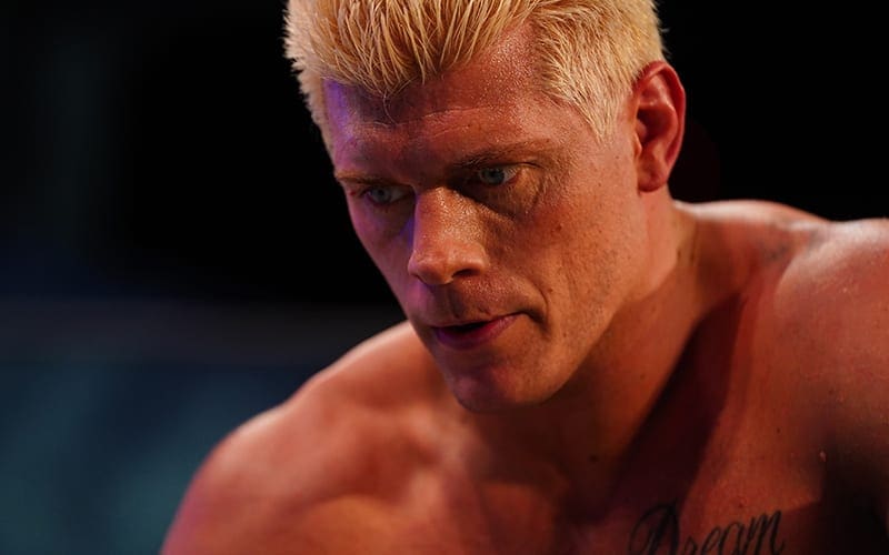 Cody Rhodes Wants To Leave Pro Wrestling In Five Years For Senate Run