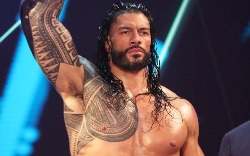 Roman Reigns Sends Message About Carrying Everything On His Back After WWE Survivor Series