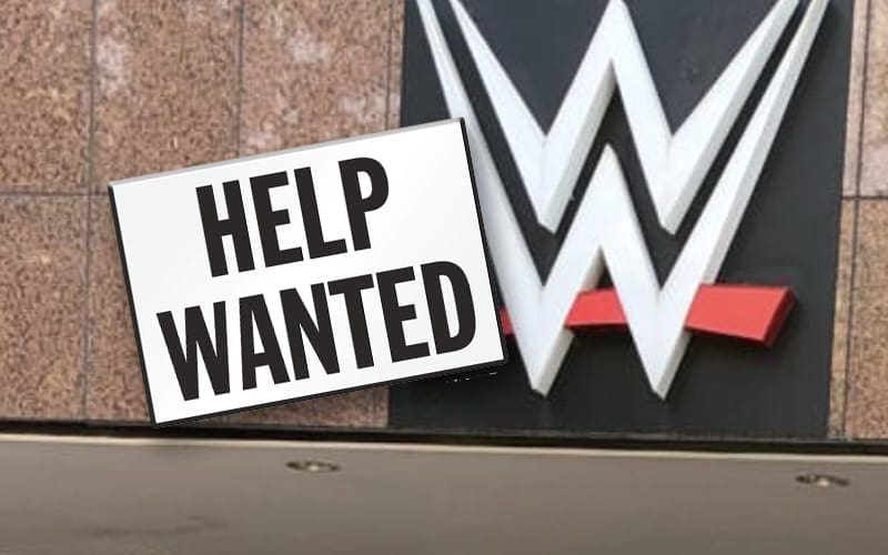 WWE Hiring New Lead Writer For Television