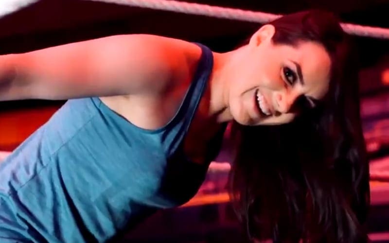 Nikki Cross Makes Big Statement About WWE Money In The Bank