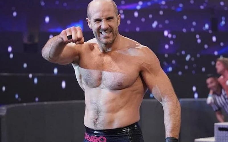 Cesaro Promises To Be On Top In WWE One Day