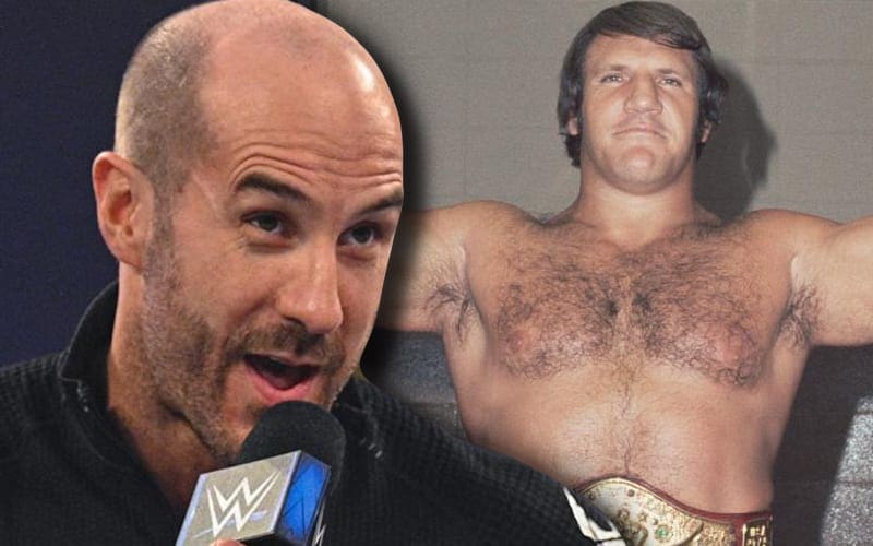 Corey Graves Says Cesaro Could Be Looked At In The Same Way As Bruno Sammartino