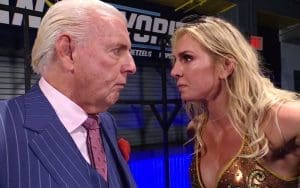 Charlotte Flair Stopped Ric Flair From Doing Dive To The Outside During His Final Match