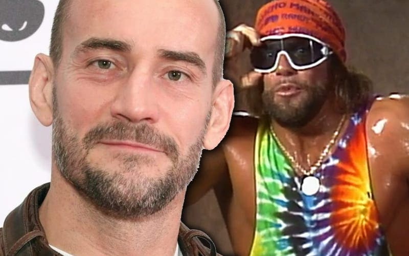 Randy Savage Was Allegedly More Emotional Backstage Than CM Punk
