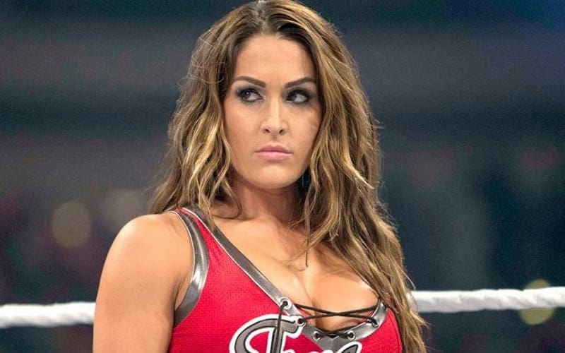Nikki Bella Addresses Talk About Coming Out Of Retirement
