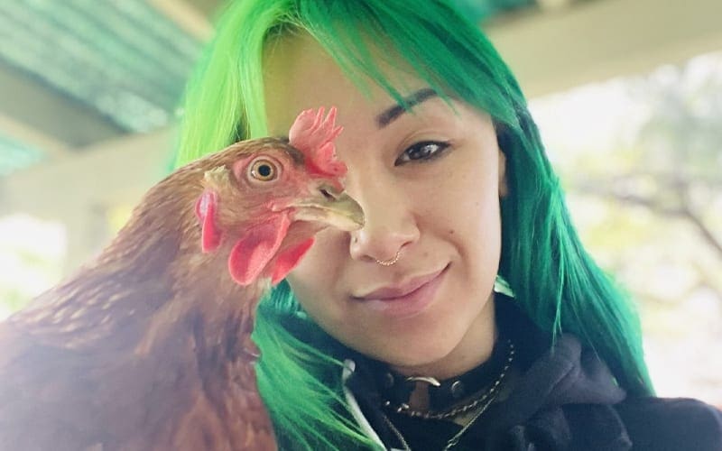 Shotzi Blackheart Mourns The Death Of Her Pet Chicken