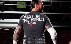 CM Punk Says The Pro Wrestling World Doesn't Necessarily Need Him