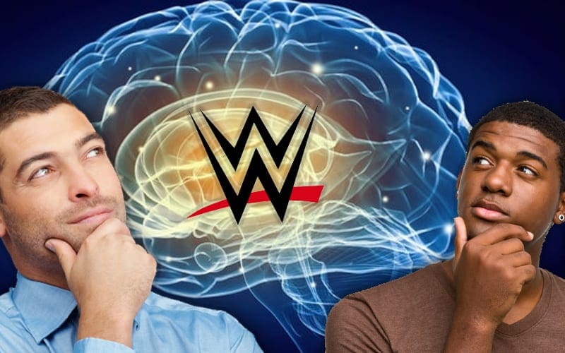 WWE Fans Ranked #1 In Average IQ By New Study