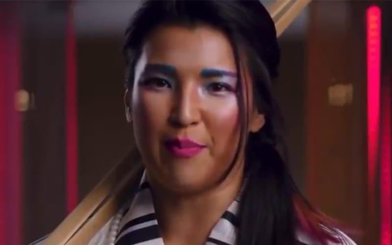 Hikaru Shida Returns To Japan After Injury Angle On AEW Dynamite