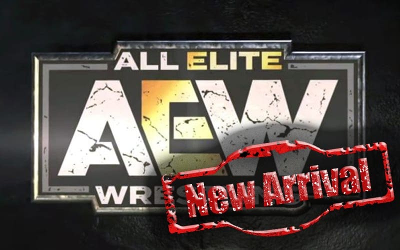 AEW: Rampage Will Be Considered Equal To AEW: Dynamite In Terms Of Importance