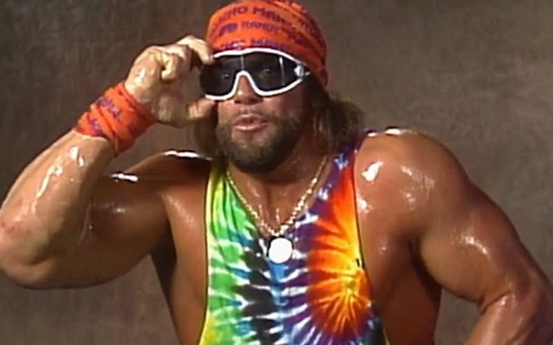 Randy Savage’s Brother Clears Up Steroid Accusations