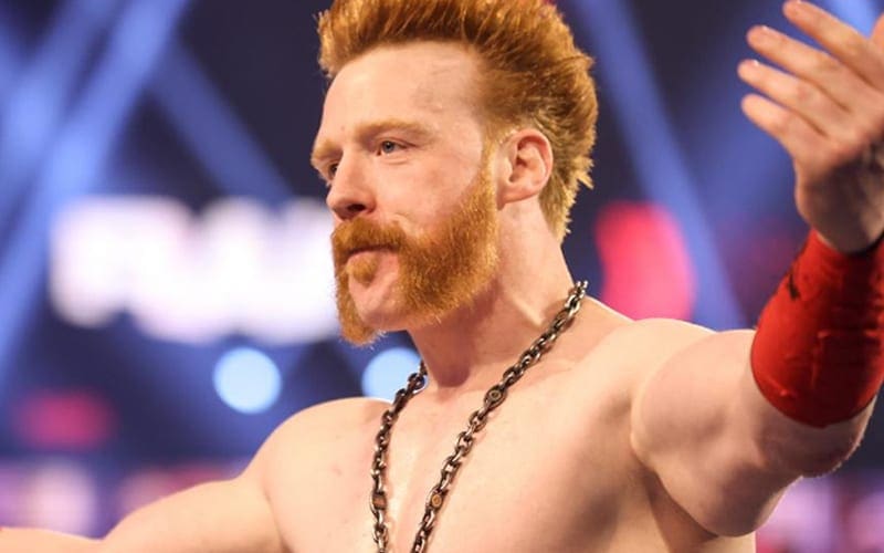 Why Sheamus Was Declared The Winner During Double Count Out On WWE RAW