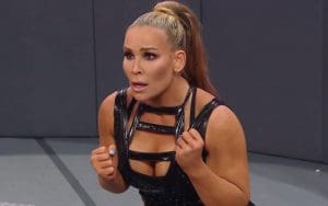 Natalya May Have Spoiled Who the Next WWE Women's Tag Team Champions Will Be