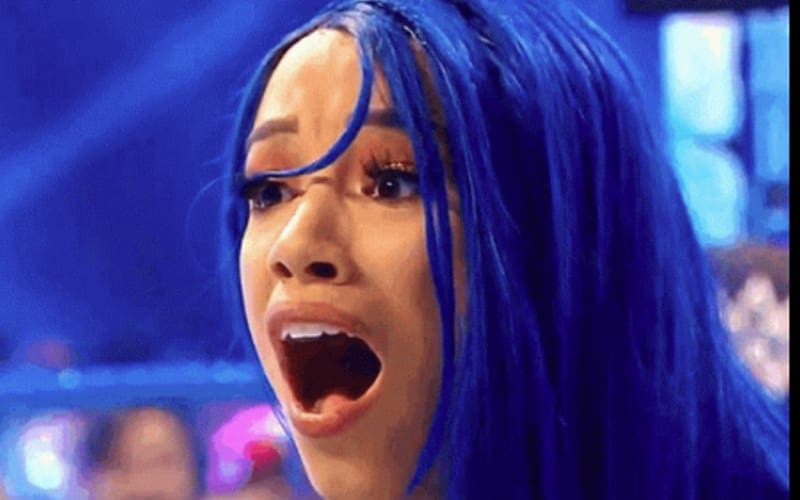 Sasha Banks In Hot Water With Fans After Getting Called Out For Being An Anti-Vaxxer