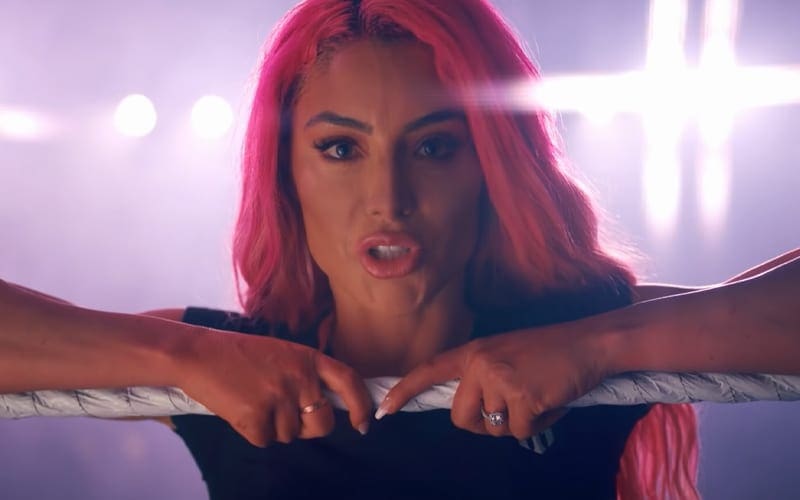WWE Considering Pairing Eva Marie With NXT Call-Up