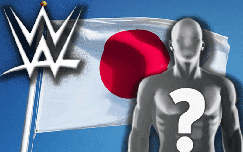 WWE Has Their Eye On Signing Another Top Japanese Talent