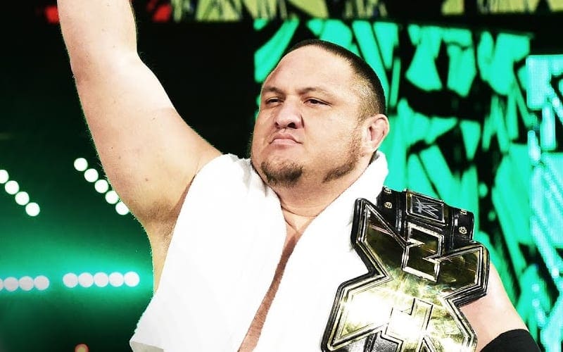 Samoa Joe Could Be Headed Back To WWE NXT