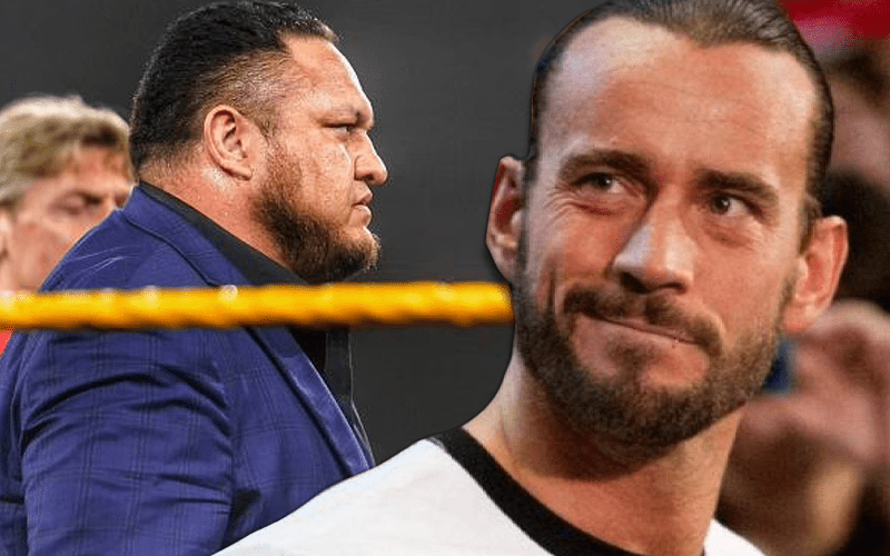 CM Punk Takes Dig At WWE After Rehiring Samoa Joe For NXT