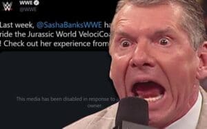 WWE's Official Twitter Account Flagged For Copyright Infringement