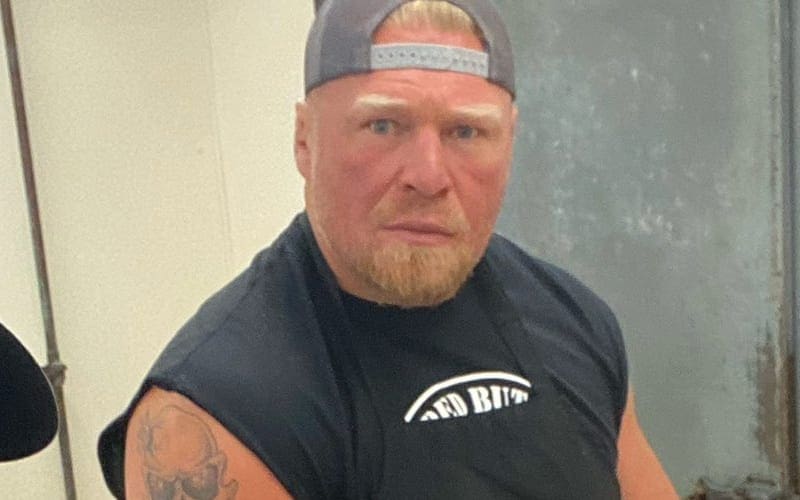 Brock Lesnar Shows Off New Viking Beard