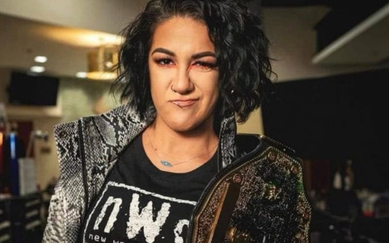 WWE Superstars Tease Female nWo Faction