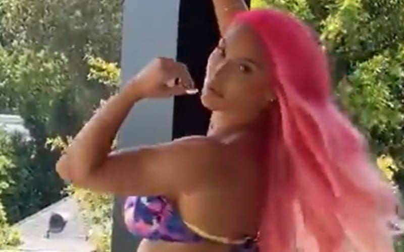 Eva Marie Drops Steamy Bikini Video To Call Herself ‘A Mega Star’
