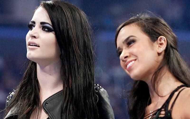 Paige Defends AJ Lee’s Accomplishments Against Hater