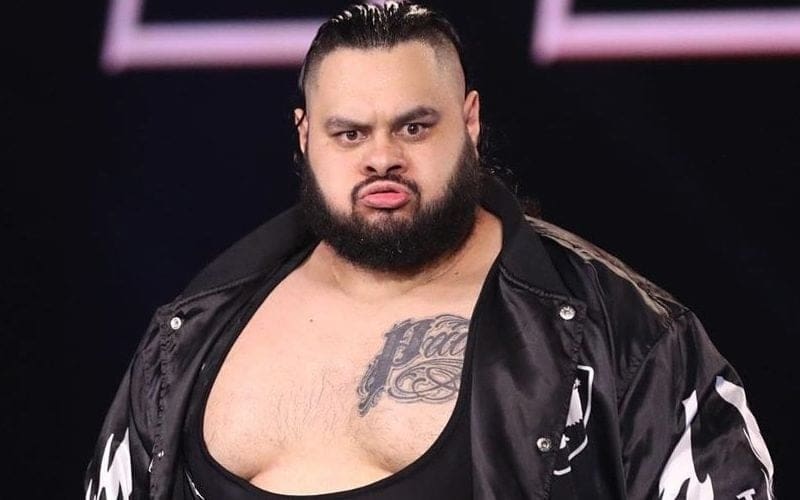 WWE Had Plans For Bronson Reed On Main Roster Prior To Release