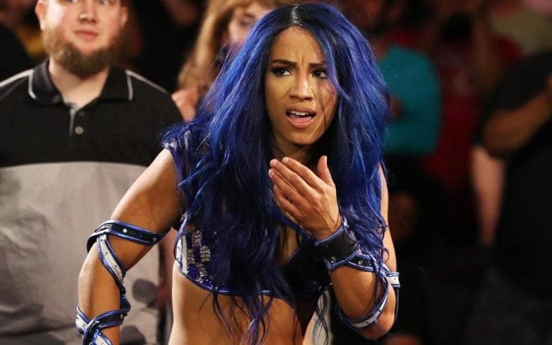 Sasha Banks Dealing With Leg Sprain After Incident At Live Event