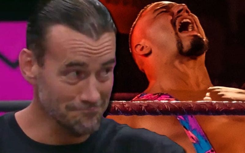 CM Punk Says Bron Breakker Should Be A Steiner