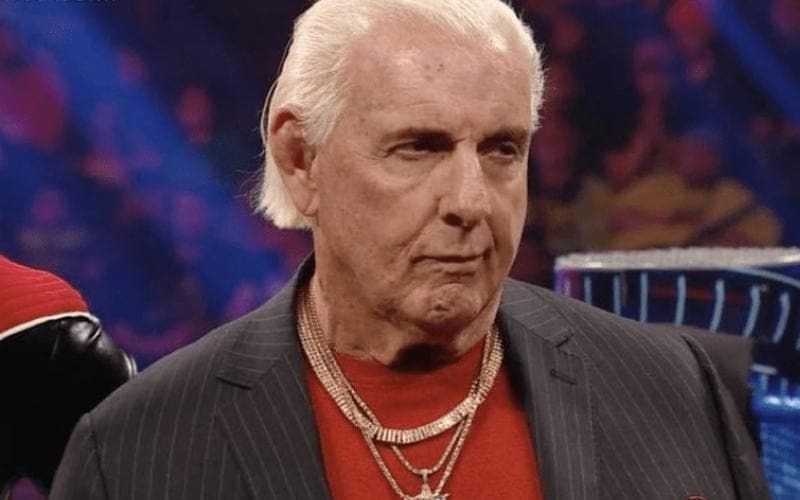 Ric Flair Takes Aim At Someone Trying To Destroy His Reputation