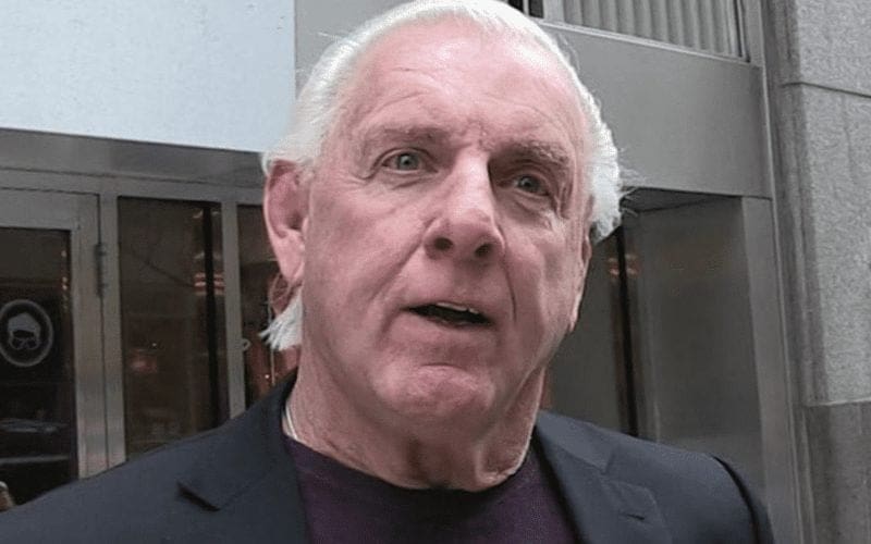 Ric Flair Hints At WWE Survivor Series Appearance