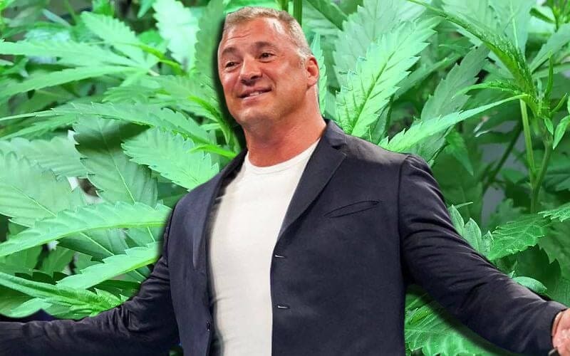 Shane McMahon Allegedly Has Stake In Cannabis Industry