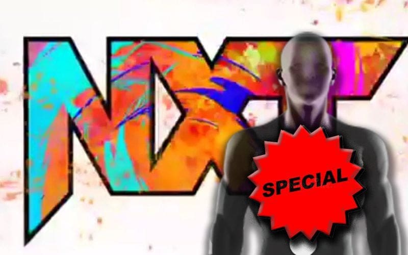 WWE Has Their Eye On NXT Superstar To Be ‘Special’