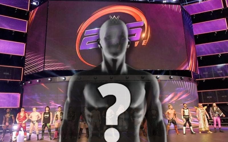 WWE Planned To Place Top NXT Superstar On 205 Live Before They Gutted The Roster