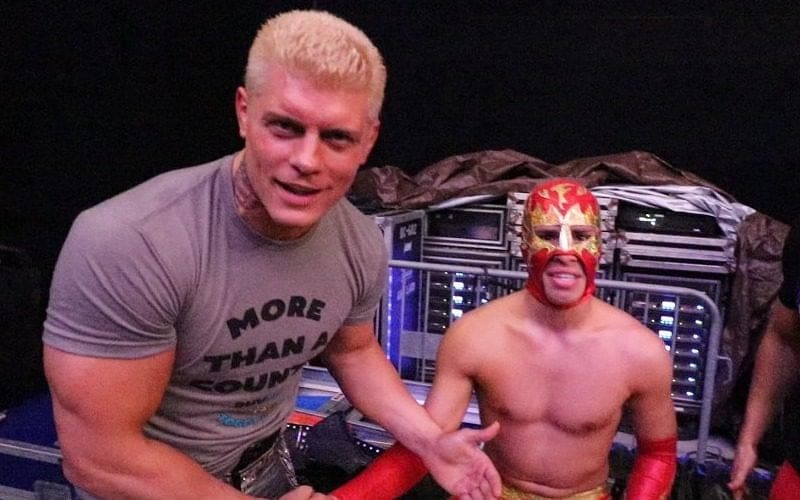 Cody Rhodes To Debut In New Tag Team As Masked Luchador