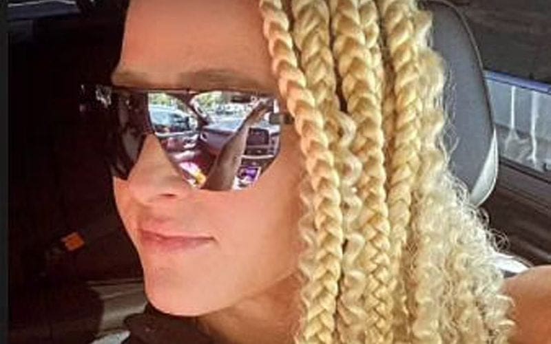 Michelle McCool Changes Up Her Look In A Big Way