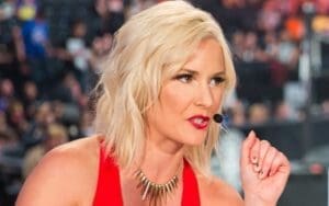 Renee Paquette Hates WWE Announcing Surprise Royal Rumble Entrants Renee Paquette Denies Speaking To Tony Khan About Joining AEW Broadcast Team