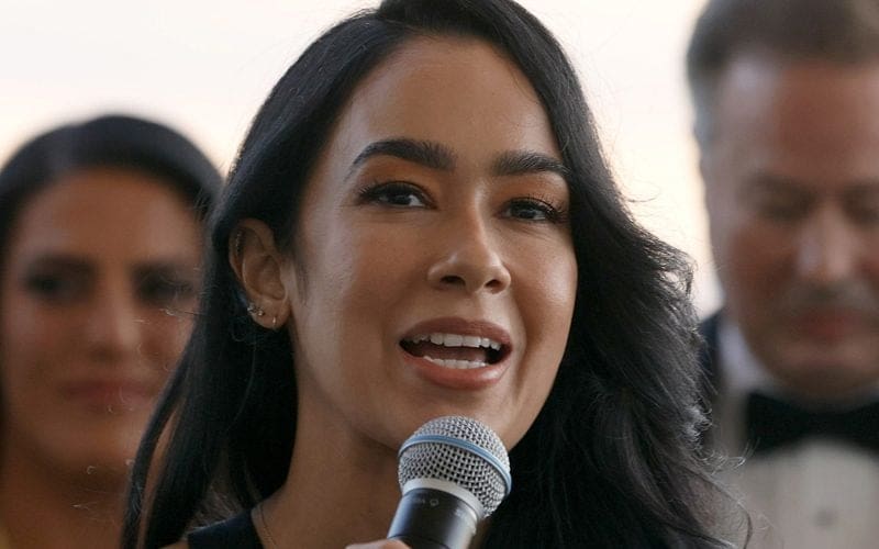 AJ Lee Receives Interest From Another Company For On-Screen Return