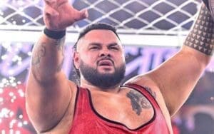 Bronson Reed Fielding Interest From Multiple Top Pro Wrestling Companies
