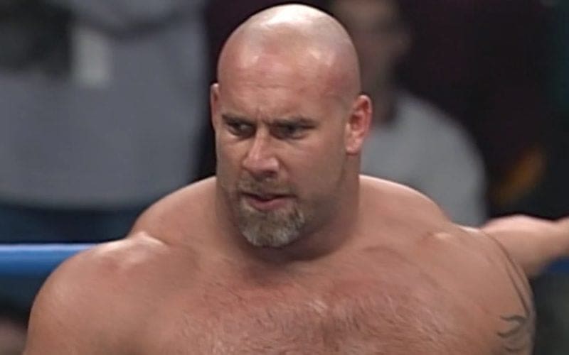Vince McMahon Asked Ric Flair Whether Goldberg Would Be Successful In WWE