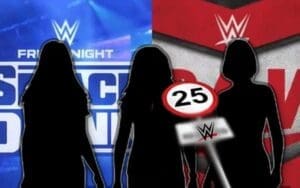 WWE Lowers Age Cut-Off For Incoming Female Superstars WWE Lowers Age Cut-Off For Incoming Female Superstars