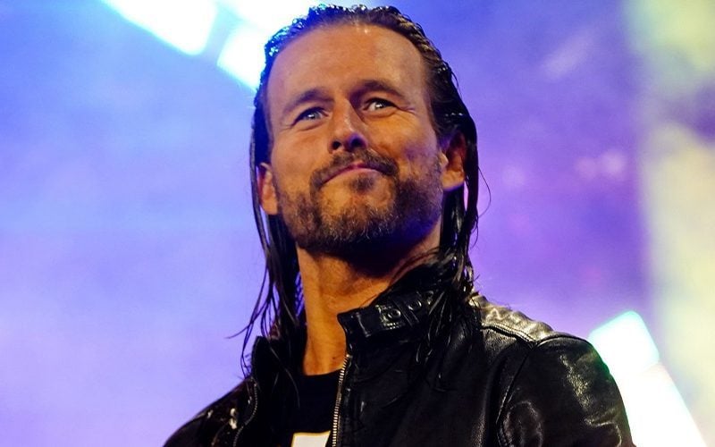Adam Cole Gives Advice To Recent Releases