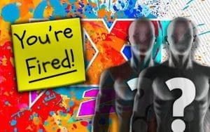 Slimming Of Staff Did Not Change How NXT 2.0 Operates WWE Plans To Release NXT Superstars Every Six Months