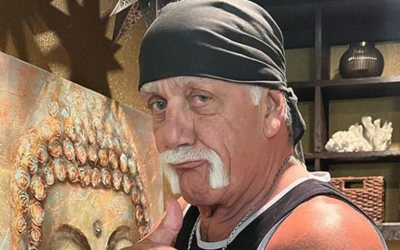 Hulk Hogan Says He’s Back To His 9th Grade Weight