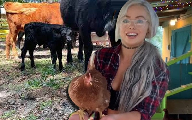 Liv Morgan Says All Of Her Cows Got Pregnant At Once